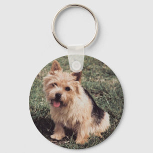 Norwich Terrier Keychain
