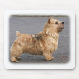 Norwich Terrier Mouse Pad