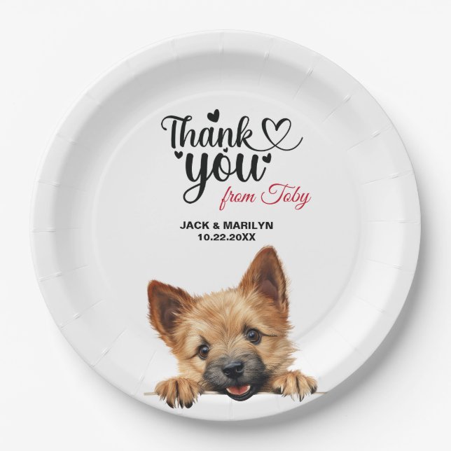 Norwich Terrier Paper Plate (Front)
