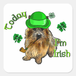 Norwich Terrier St Patricks Square Sticker