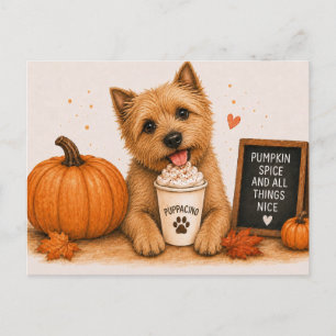 Norwich Terrier Warm Pumpkin Spice Autumn Postcard