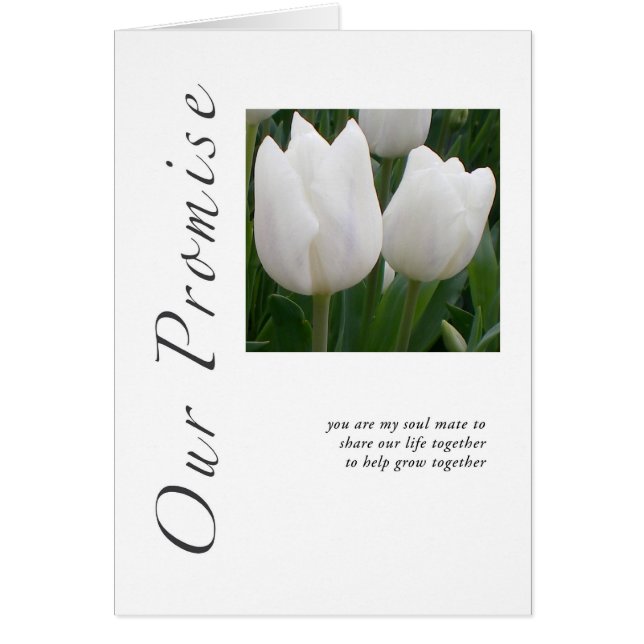 Nos tulipes de promesse (Devant)