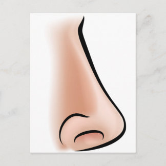 Nose Body Part Postcard