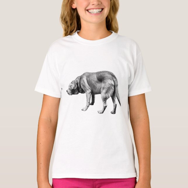Nose-Down Wanderer T-Shirt (Front)