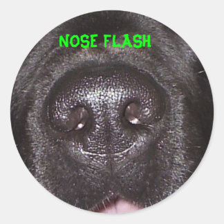 NOSE FLASH CLASSIC ROUND STICKER