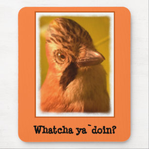 Nosey Jay Bird Mouse Pad