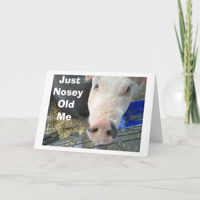 NOSEY PIGS BUTS IN TO SAY=HAVE A PERFECT HOLIDAY (Front)