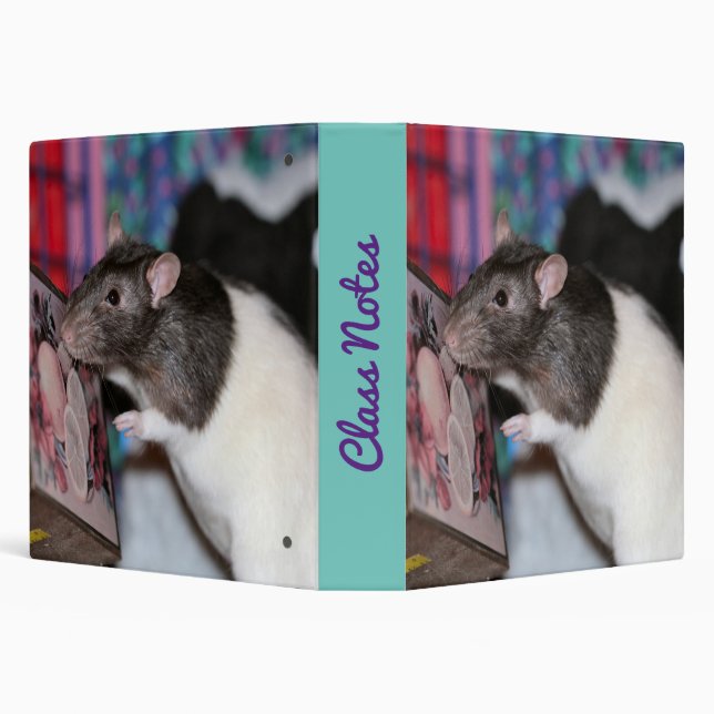 Nosey rat binder (Background)