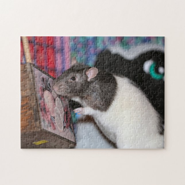 Nosey rat jigsaw puzzle (Horizontal)