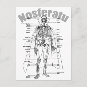 Nosferatu Postcard