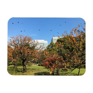 Nostalgic Autumn Sky Magnet