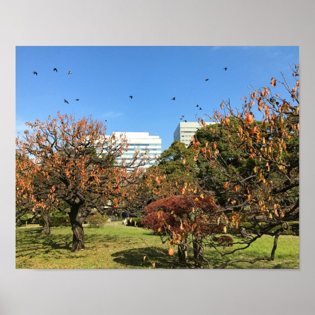 Nostalgic Autumn Sky Poster (Front)