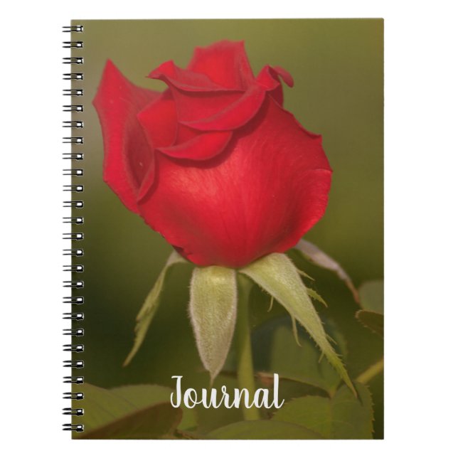 Nostalgic Red Rose Journal Notebook (Front)