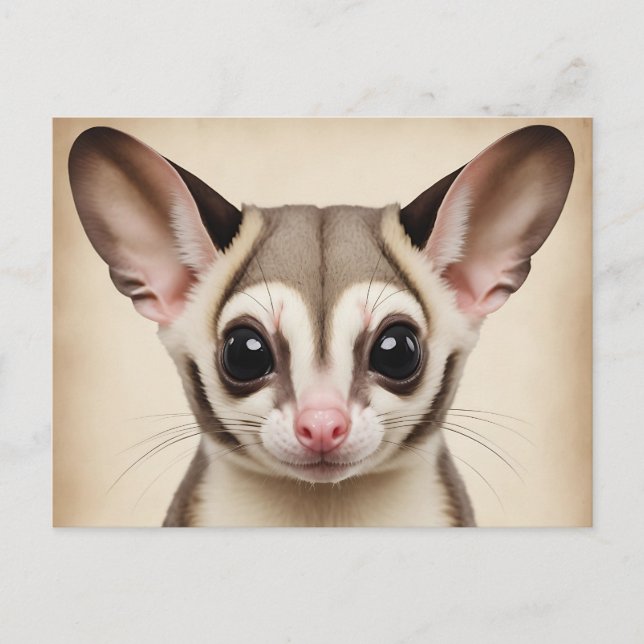 Nostalgic Sugar Glider in Faded Retro Postcard (Front)