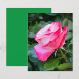 Nostalgie Rose Nostalgia Card