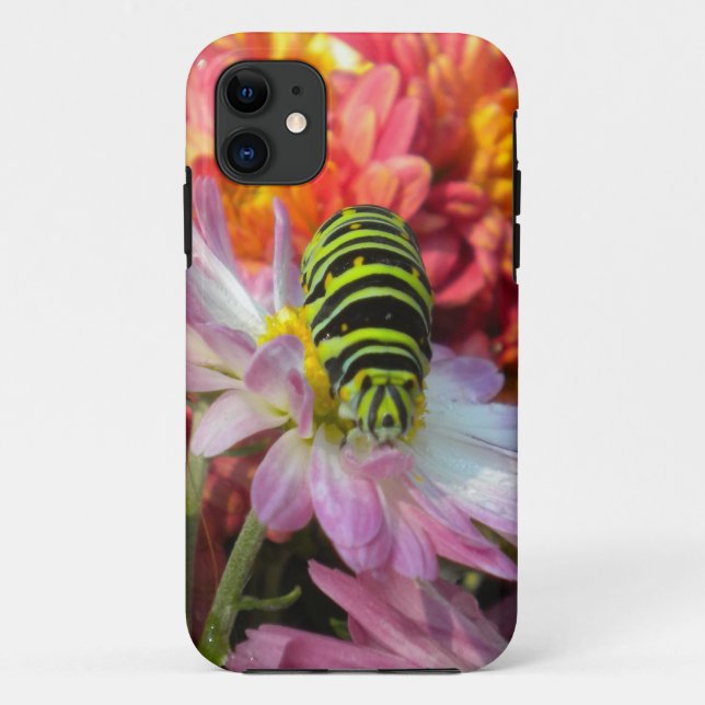 Nosy Caterpilar iPhone 5 case (Back)