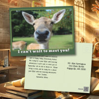 Nosy Deer Can't Wait to Meet You Teacher Note
