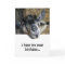Nosy Goat Looking Up - Birthday