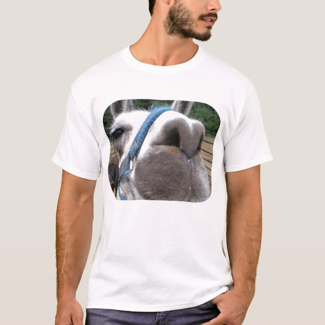Nosy Llama T-Shirt (Front)