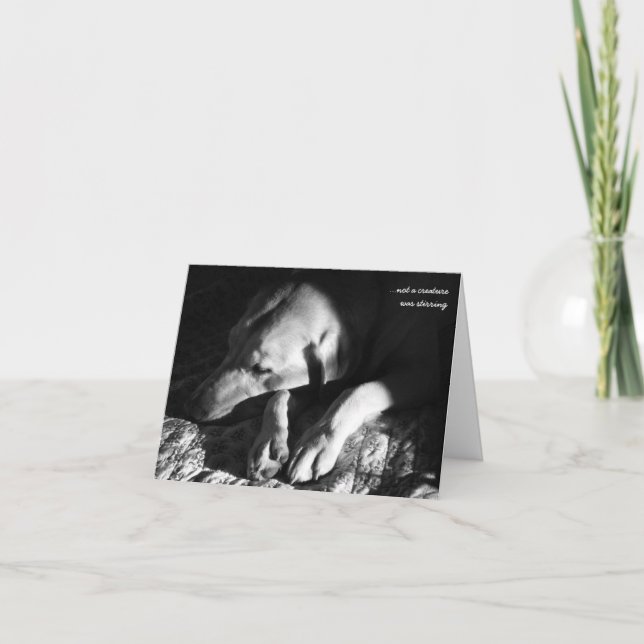 ...not a creature was stirring holiday card (Front)