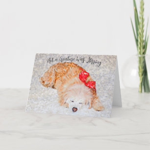 Not a Creature Was Stirring Holiday Card