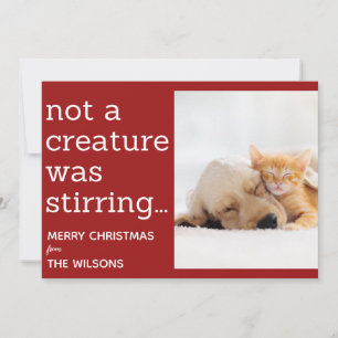 not a creature was stirring red photo christmas announcement