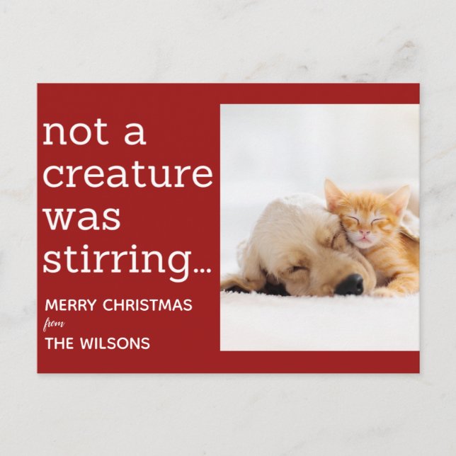 not a creature was stirring red photo christmas postcard (Front)