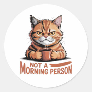 Not A Morning Person Grumpy Orange Cat Funny Stick Classic Round Sticker