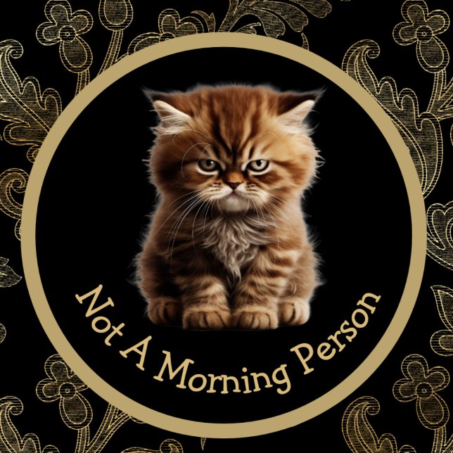 Not A Morning Person Or Your Text Angry Sleepy Cat Mug (Creator Uploaded)
