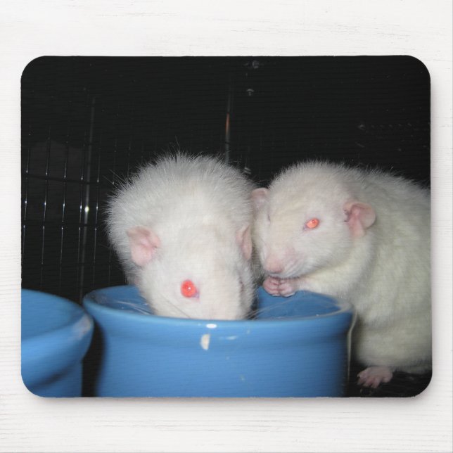 Not a Mouse Pad... Mouse Pad (Front)