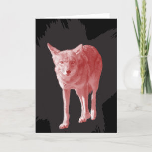 Not A Wolf. Lone Coyote Holiday Card