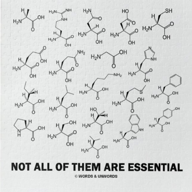 Not All Of Them Are Essential (20 Amino Acids) Jigsaw Puzzle (Jigsaw puzzle for any biochemist w/ 20 amino acids & caption "Not All Of Them Are Essential")