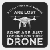 Not All Those Who Wander Are Lost Drone Pilot