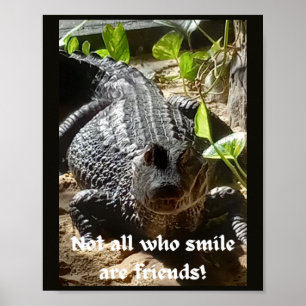 Not all who smile are friend's inspirational  poster
