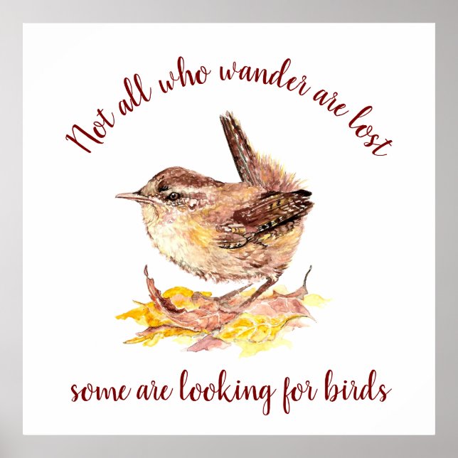 Not all Who Wander Lost - Some looking for Birds Poster (Front)
