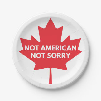 Not American, Not Sorry Paper Plate