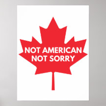 Not American, Not Sorry Poster