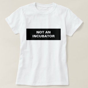 Not an incubator women are people T-Shirt
