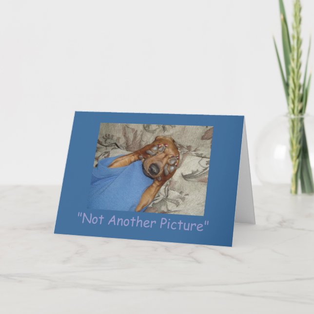 Not Another Picture Card (Front)