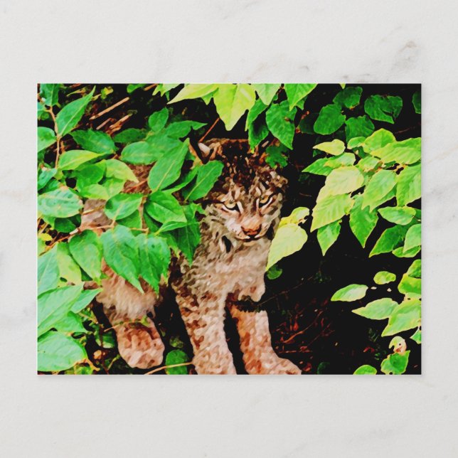 Not any closer postcard (Front)