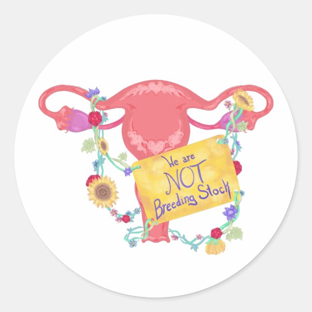 Not Breeding Stock Classic Round Sticker (Front)