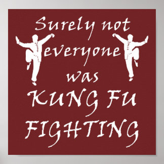 Not Everyone Was Kung Fu Fighting Poster