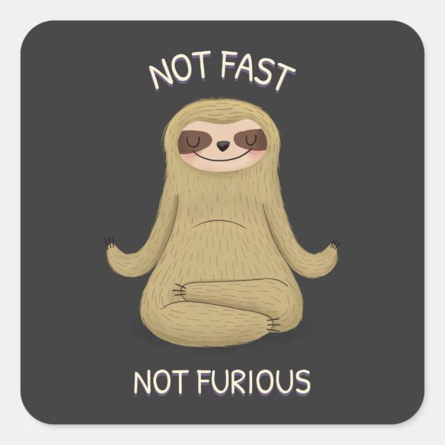 Not Fast Not Furious Square Sticker (Front)