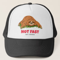 Not Fast Not Furious