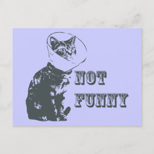 Not Funny Postcard