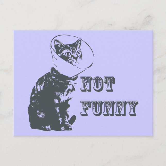 Not Funny Postcard (Front)