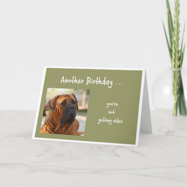 Not Getting Older Fun Bulldog Dog Greeting Card (Front)