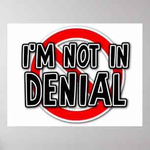 Not In Denial Funny Poster