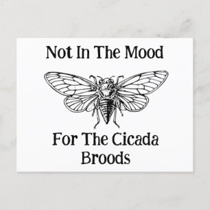 Not In The Mood For The Cicada Broods Postcard