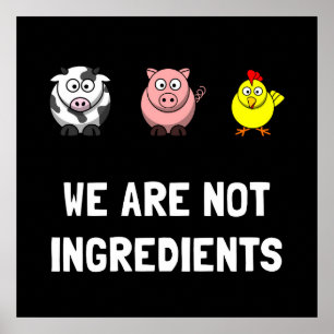Not Ingredients Poster